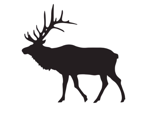 Elk