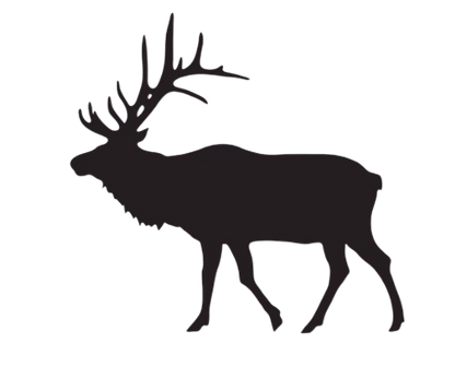 Elk