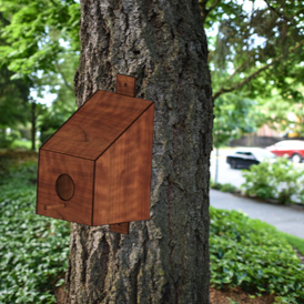 Birdhouse Kit